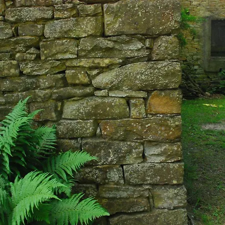 Bed & Breakfast Casa Asso Di Coppe